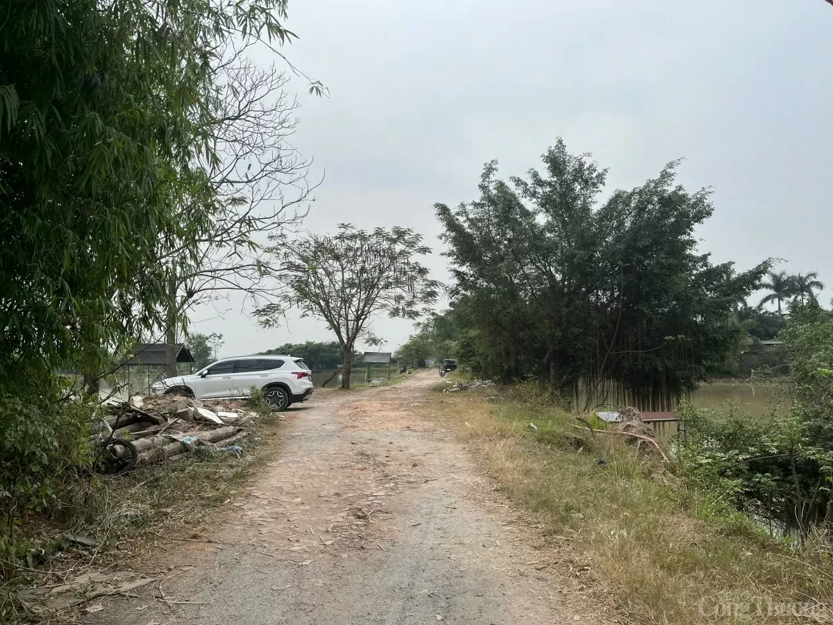 Dự án Vành đai 4 đang 'kích thích' đất nền ven đô