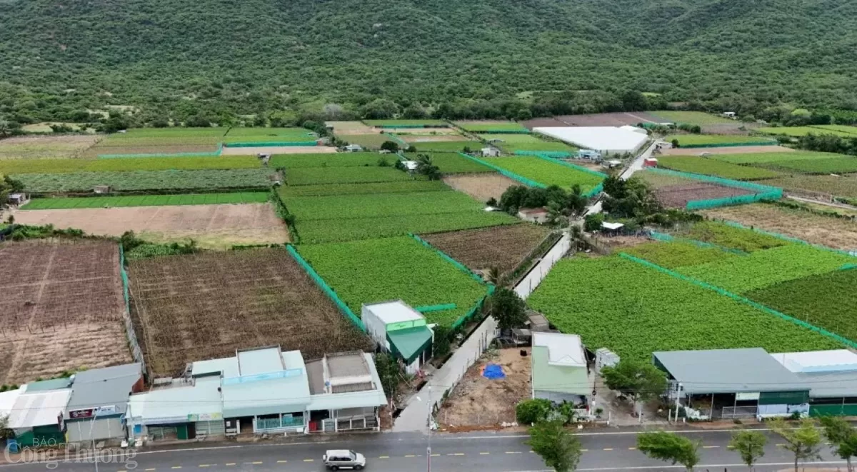 KHu vực xây dựng nhà máy điện hạt nhân Ninh Thuận 2