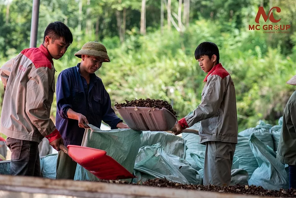 Rộng mở đầu ra cho nông sản hữu cơ miền núi