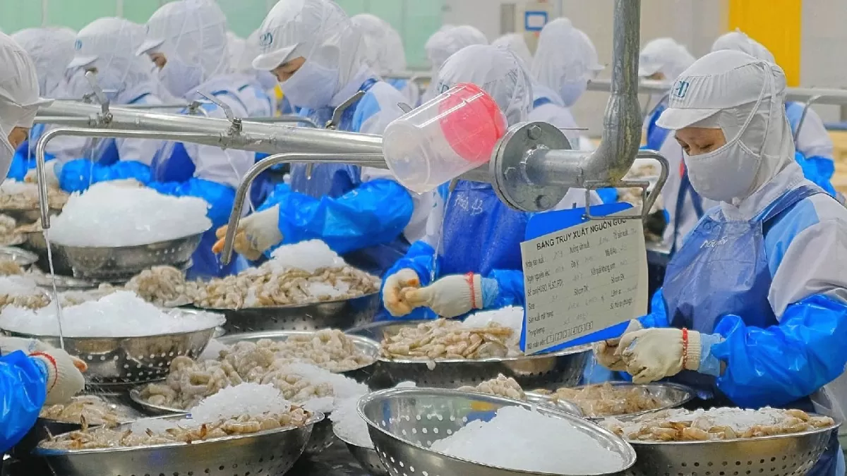 Trung Quốc tăng cường các giải pháp kích cầu tiêu dùng đã tạo đà cho xuất khẩu tôm Việt