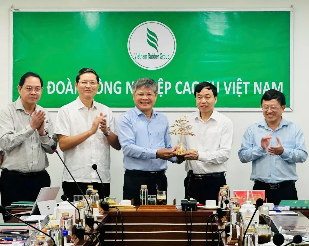 Lai Châu đẩy mạnh phát triển cây cao su