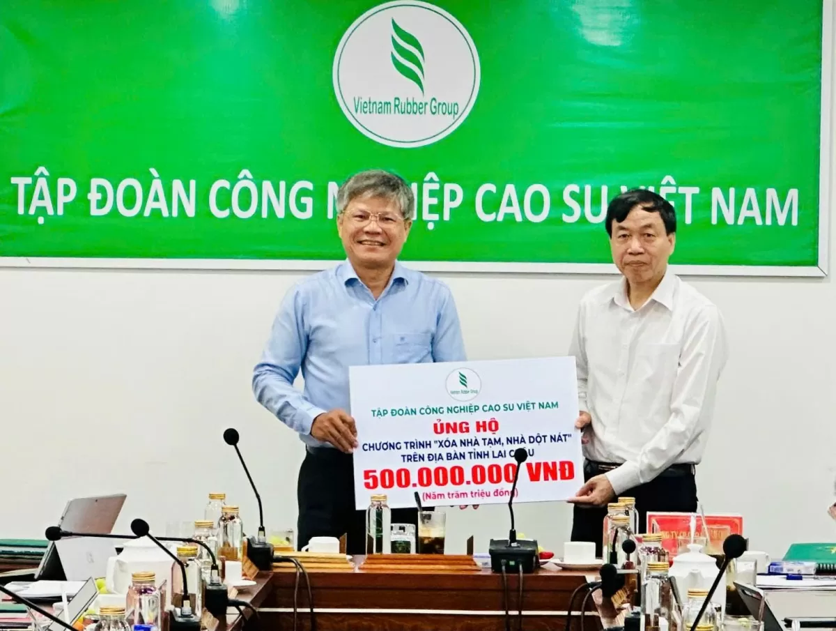 Lai Châu đẩy mạnh phát triển cây cao su