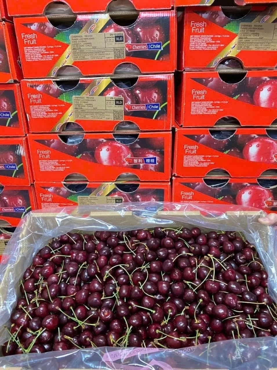 Nhiều người tiêu dùng tỏ ra bất ngờ khi giá cherry Chile đang giảm sâu. Ảnh: Nguyễn Hồng
