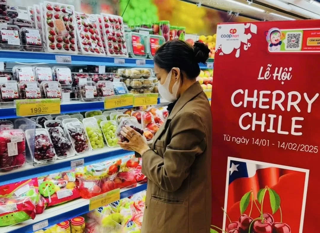 giá giảm sâu do nguồn hàng dồi dào từ Chile