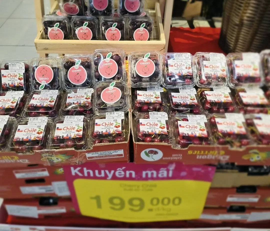 cherry nhập khẩu chính ngạch được bày bán với giá chỉ 199.000 đồng/kg