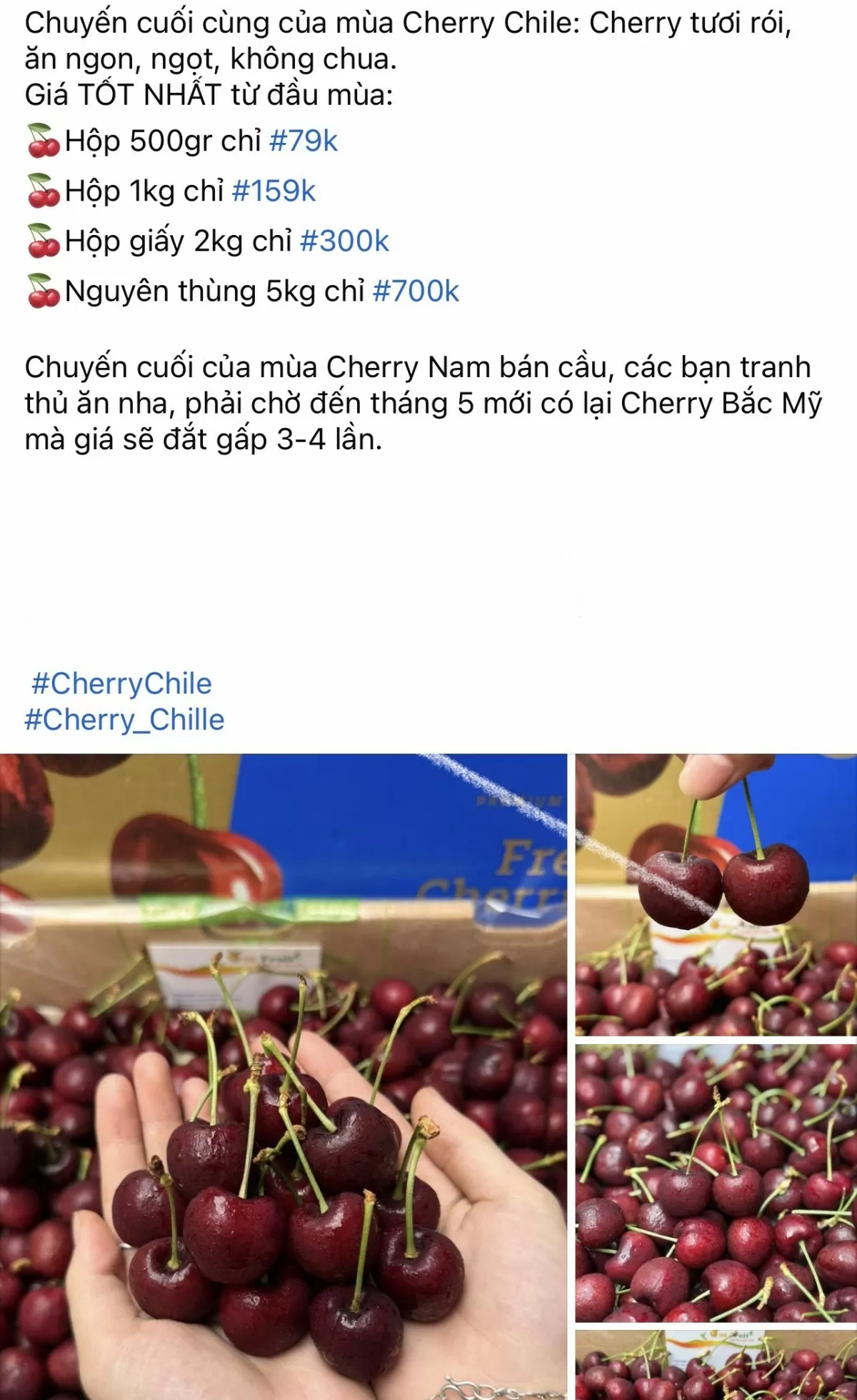Cherry Chile với nhiều mức giá được rao bán trên chợ mạng. Ảnh chụp màn hình