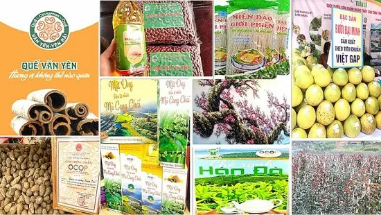 Yên Bái: 59 sản phẩm được bảo hộ sở hữu trí tuệ