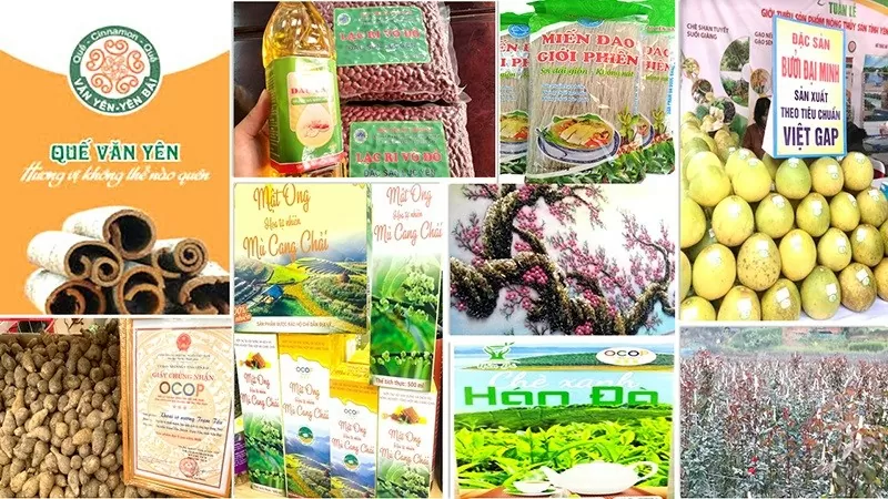 Yên Bái: 59 sản phẩm được bảo hộ sở hữu trí tuệ