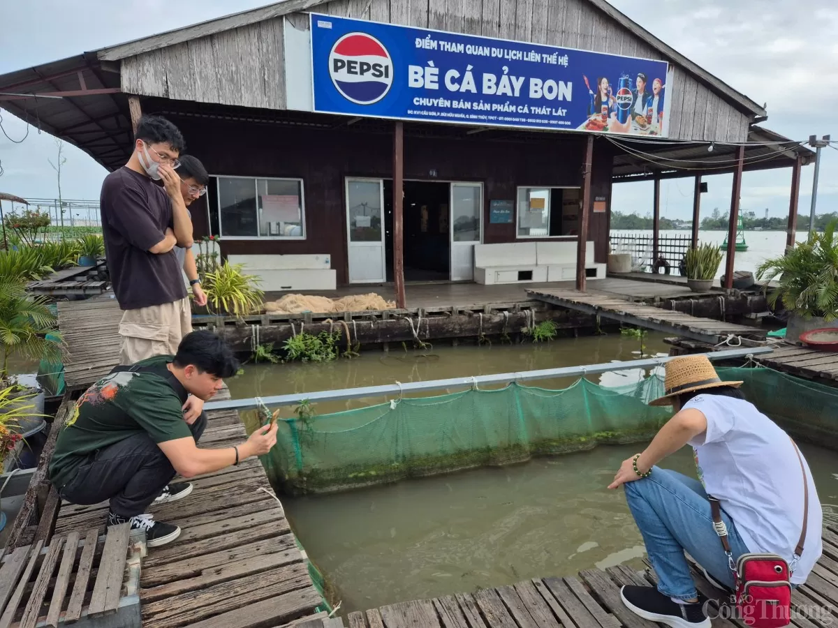 Cần Thơ: Trải nghiệm miền Tây dân dã tại Cồn Sơn
