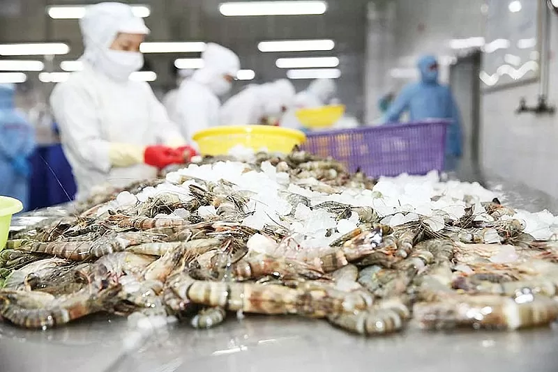 Quý I/2025, xuất khẩu tôm tăng trên 37%