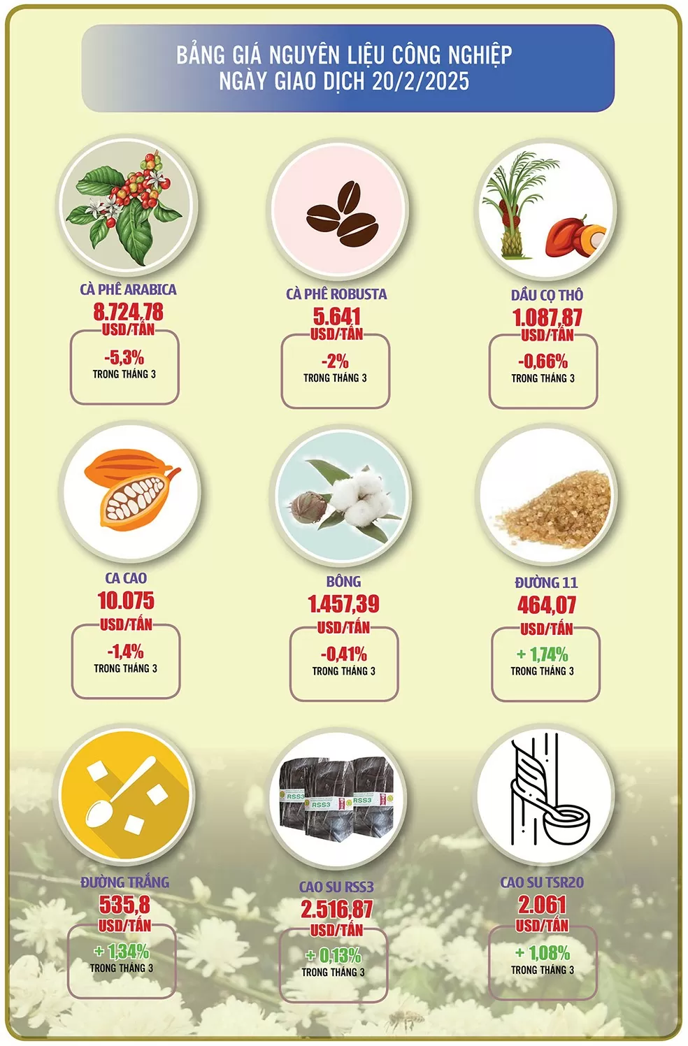 Infographic |Giá cà phê đồng loạt giảm mạnh