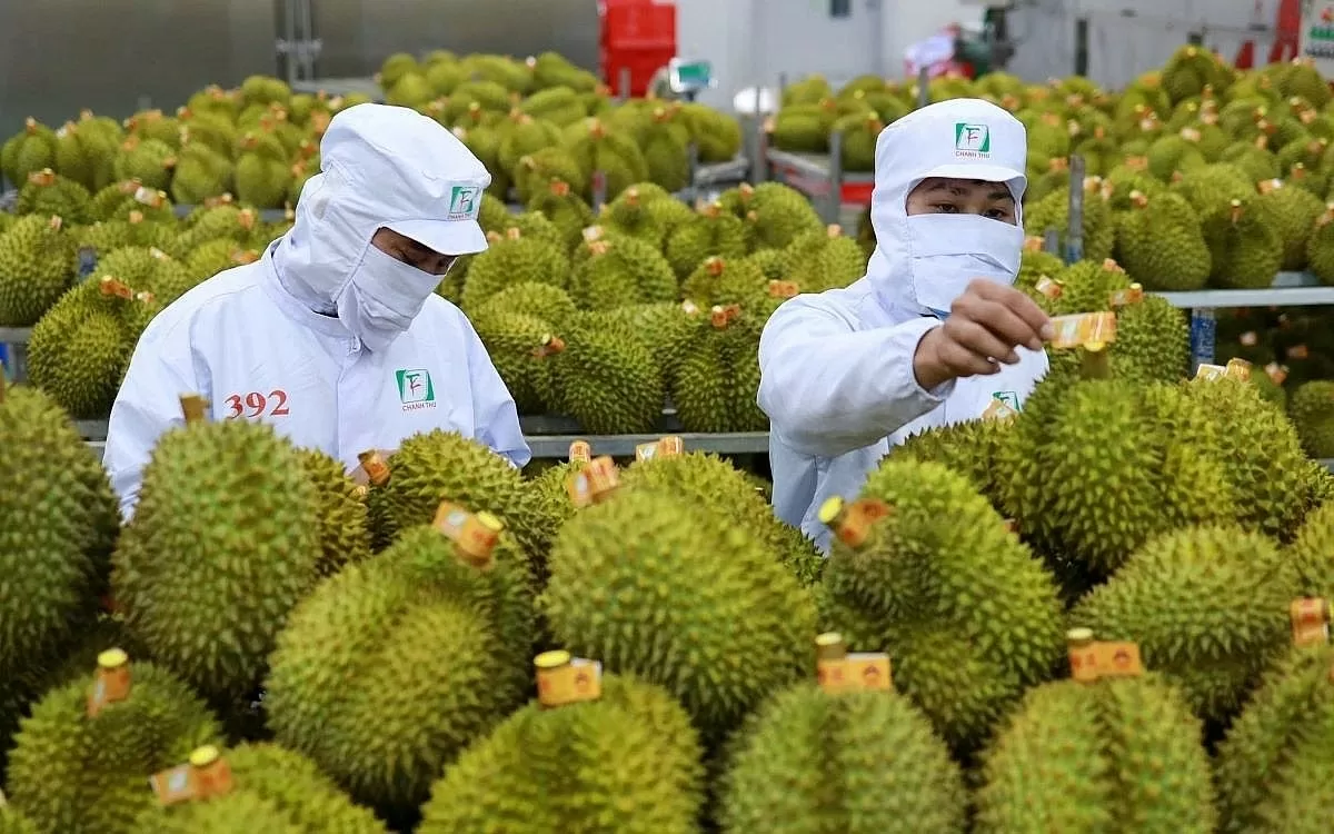 giá trị xuất khẩu các mặt hàng nông sản đạt 8,53 tỷ USD, tăng 12,2%