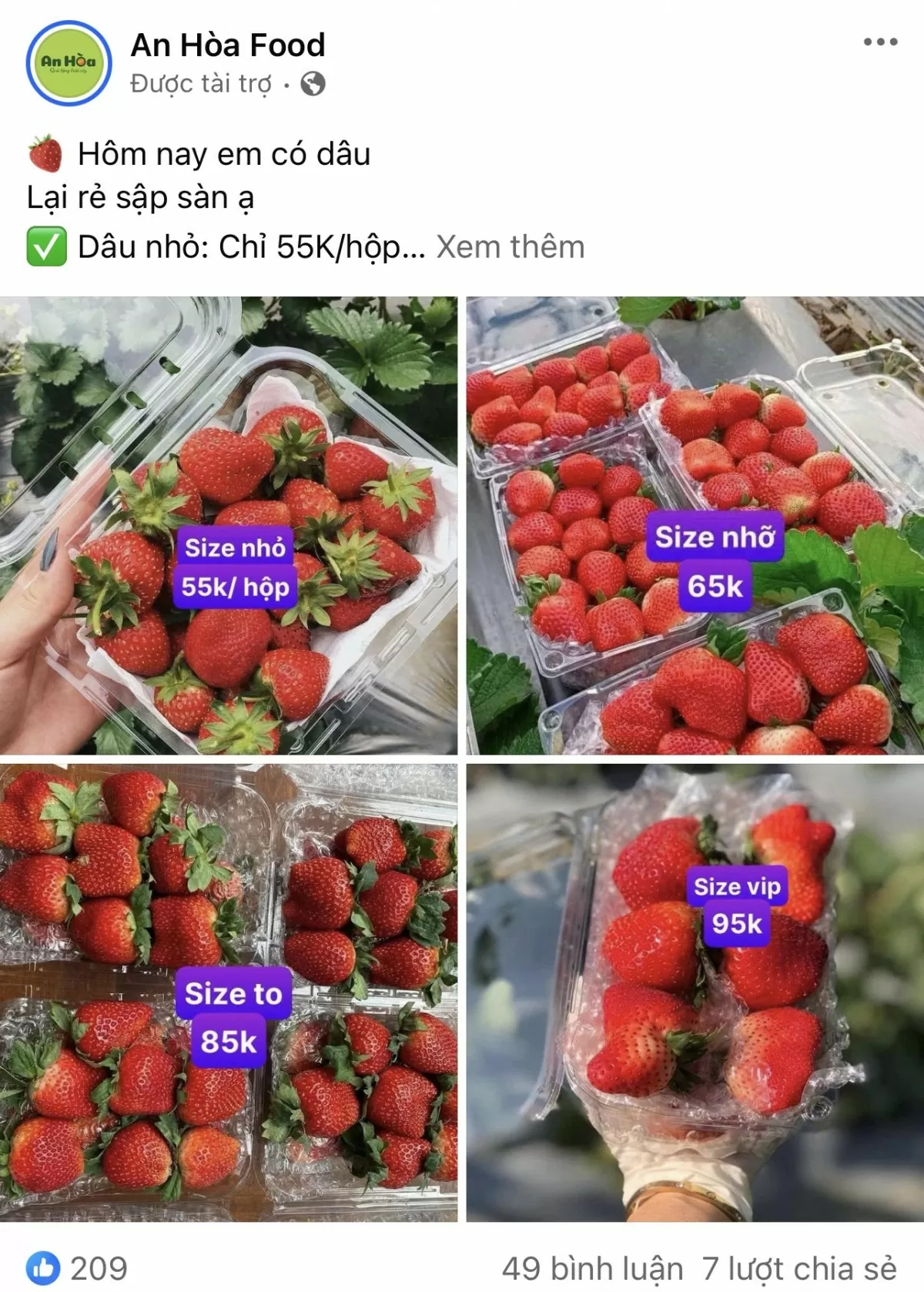 Cẩn trọng với dâu tây Sơn La 'nhuộm đỏ' chợ Hà Nội
