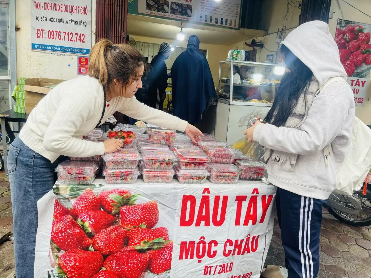 Khách hàng tranh thủ mùa dâu tây đang rẻ nên thường mua số lượng nhiều. Ảnh: Nguyễn Thanh