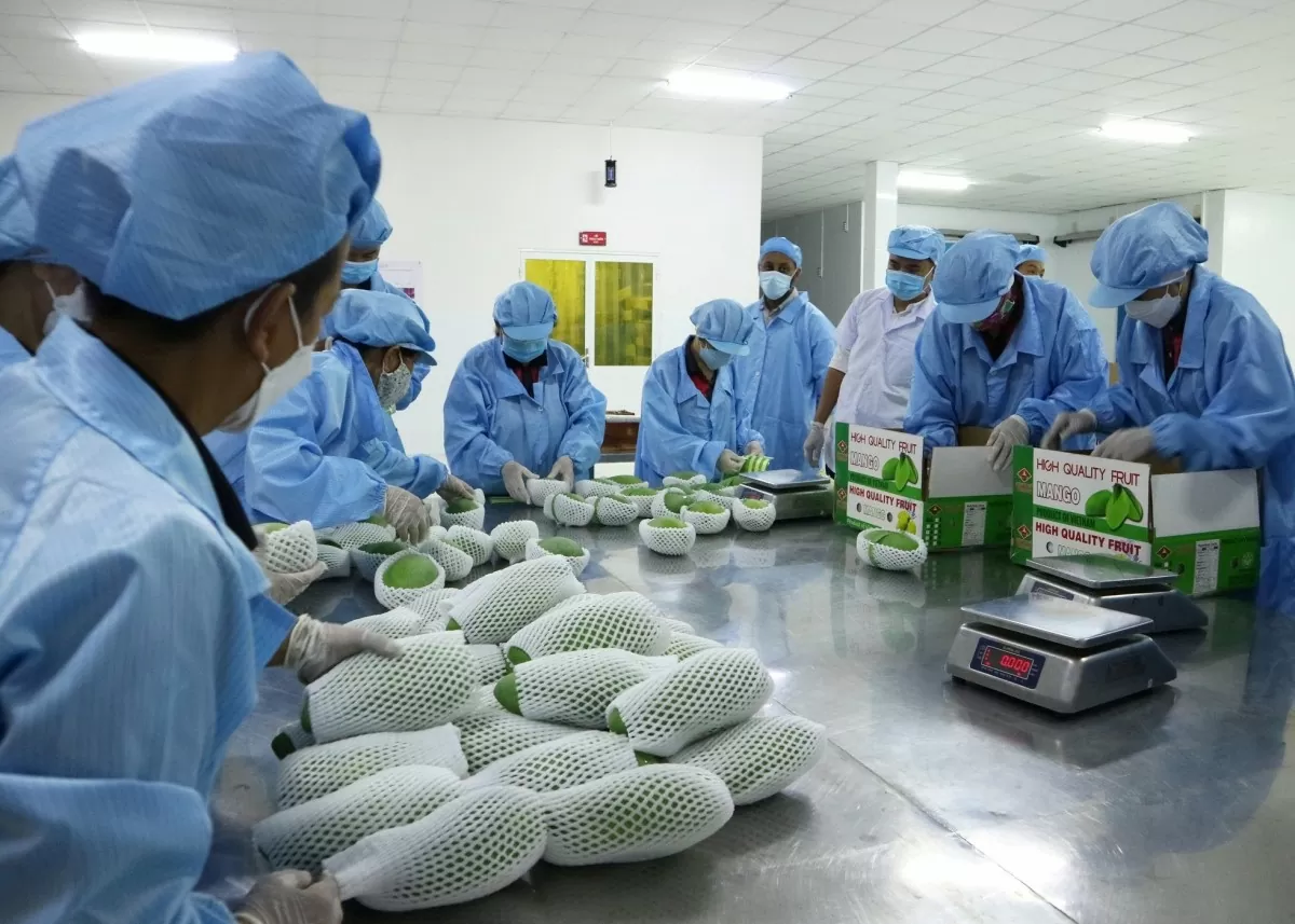 Mốc son mới trong quan hệ Việt Nam - Trung Quốc