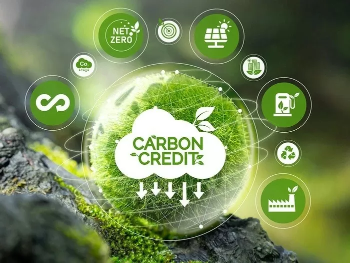 thị trường carbon
