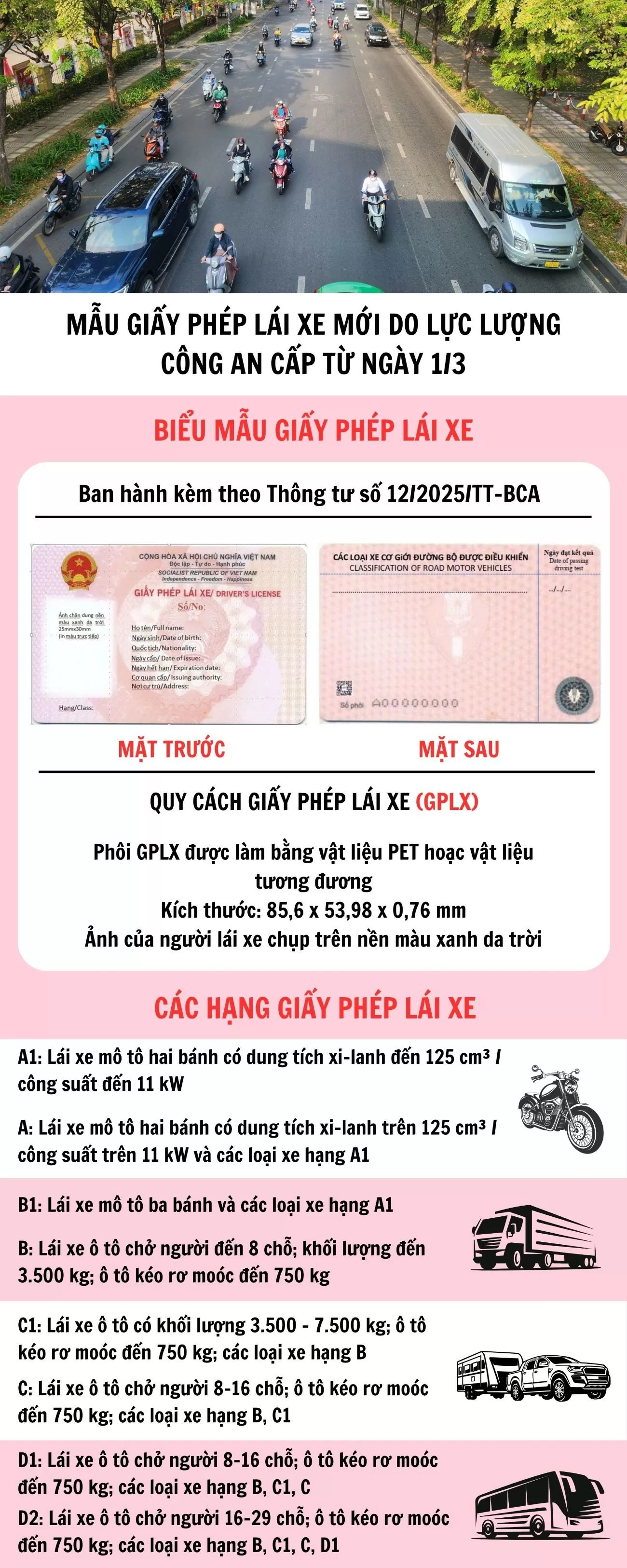 Infographic | Mẫu giấy phép lái xe mới do lực lượng công an cấp