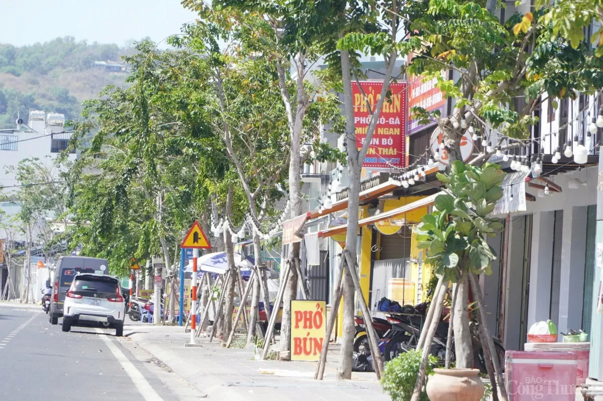 Vũng Tàu: Hạ tầng đô thị tạo không gian phát triển mới