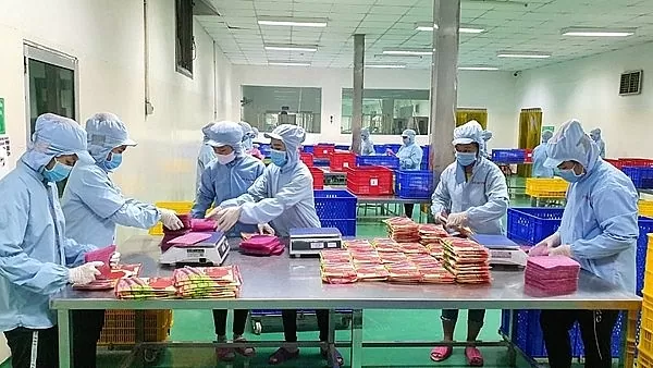Thủ tục công bố hợp quy đang gây khó cho doanh nghiệp. Ảnh minh họa