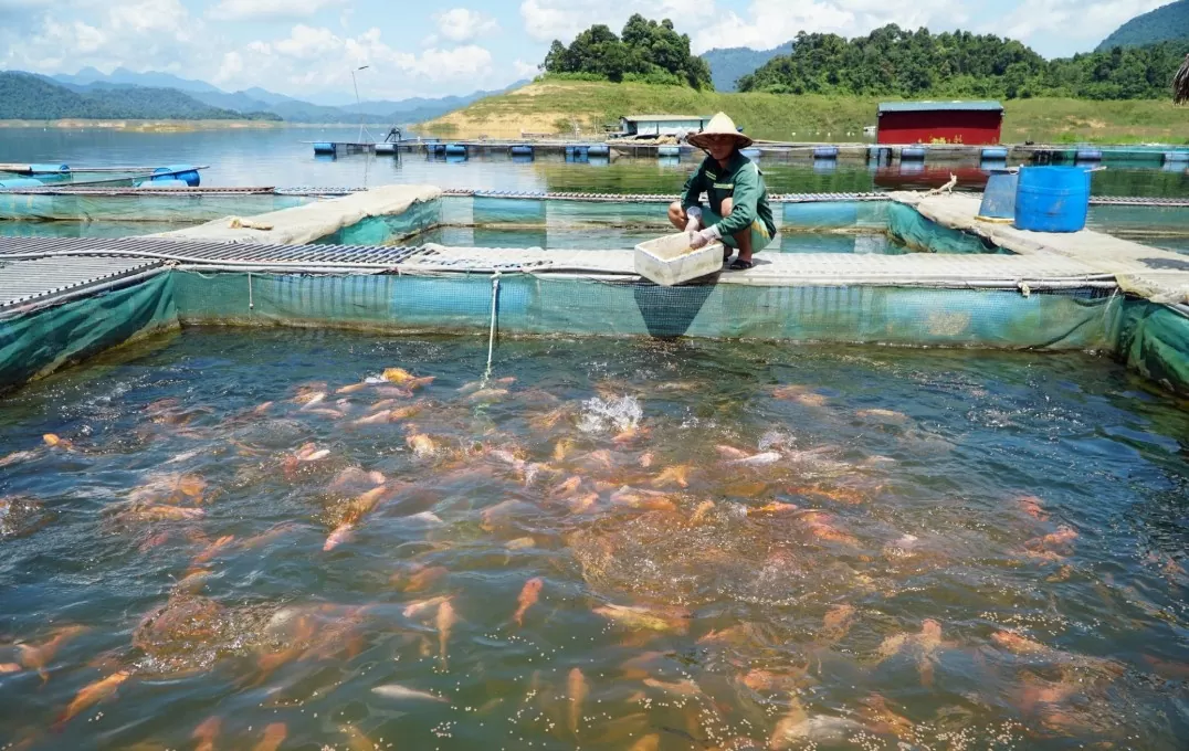 nhà máy thủy điện tỉnh thanh hóa