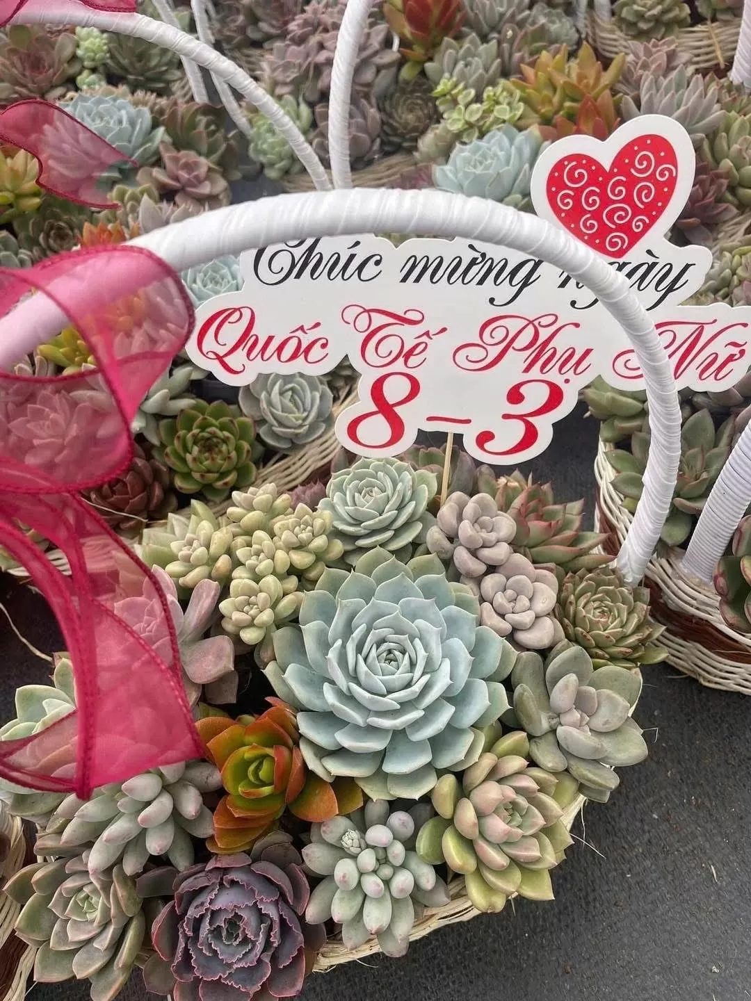 Giỏ hoa sen đá độc đáo và rất bền. Ảnh: Nguyễn Thanh