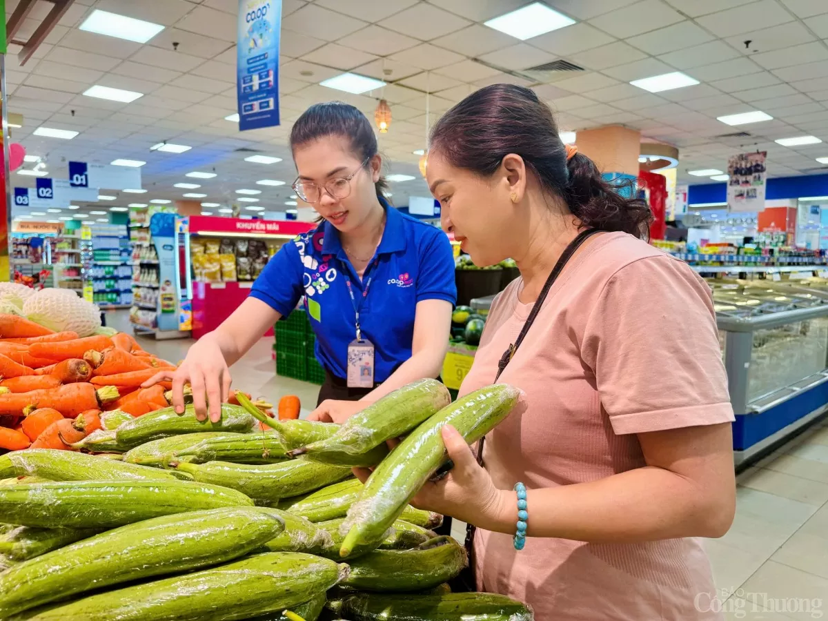 Bà Rịa - Vũng Tàu: Thương mại, dịch vụ tăng trưởng mạnh