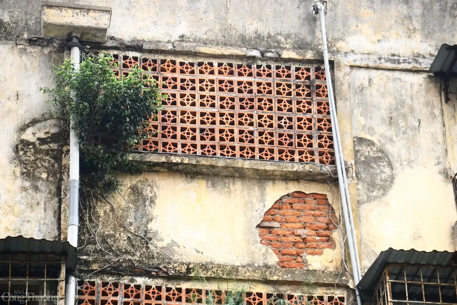 Hiện trạng 3 khu tập thể cũ ở Hà Nội sắp được cải tạo