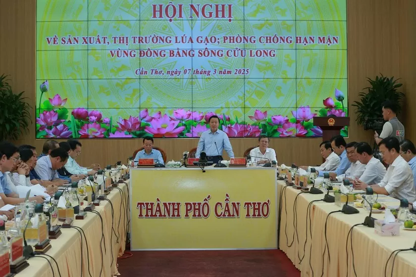 Giá lúa giảm sâu, nông dân mong chờ chính sách hỗ trợ