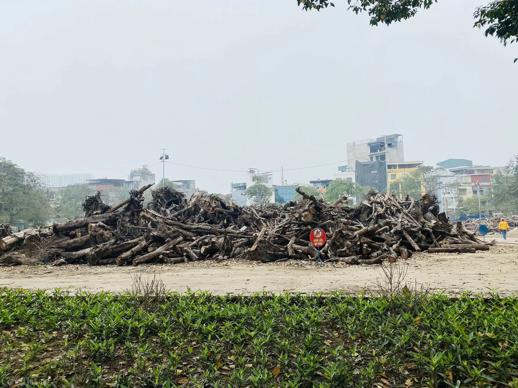 Liệu Công viên Tuổi trẻ Thủ đô có ‘lột xác’ sau khi Liệu Công viên Tuổi trẻ Thủ đô có ‘lột xác’ sau khi