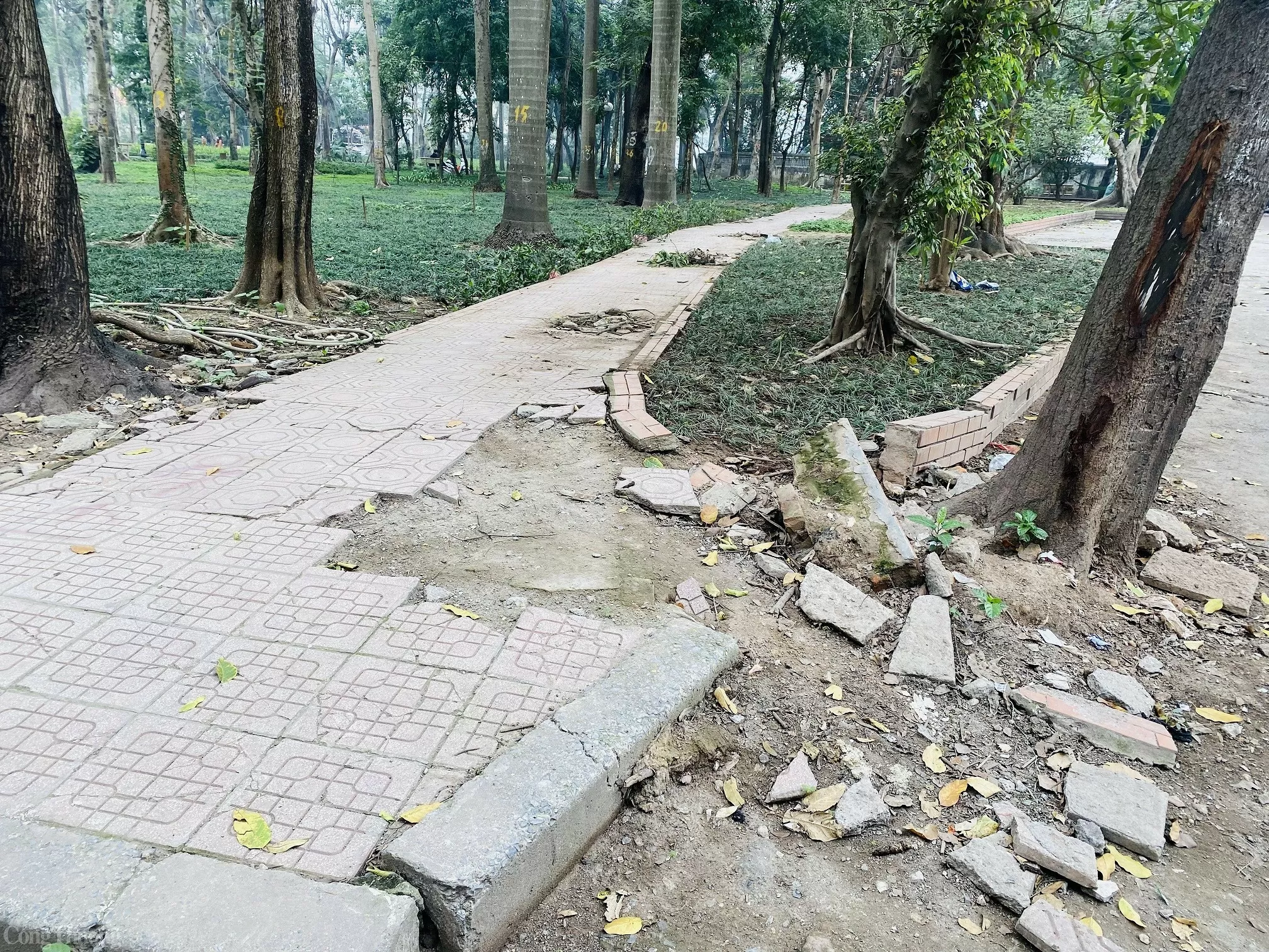 Liệu Công viên Tuổi trẻ Thủ đô có ‘lột xác’ sau khi Liệu Công viên Tuổi trẻ Thủ đô có ‘lột xác’ sau khi