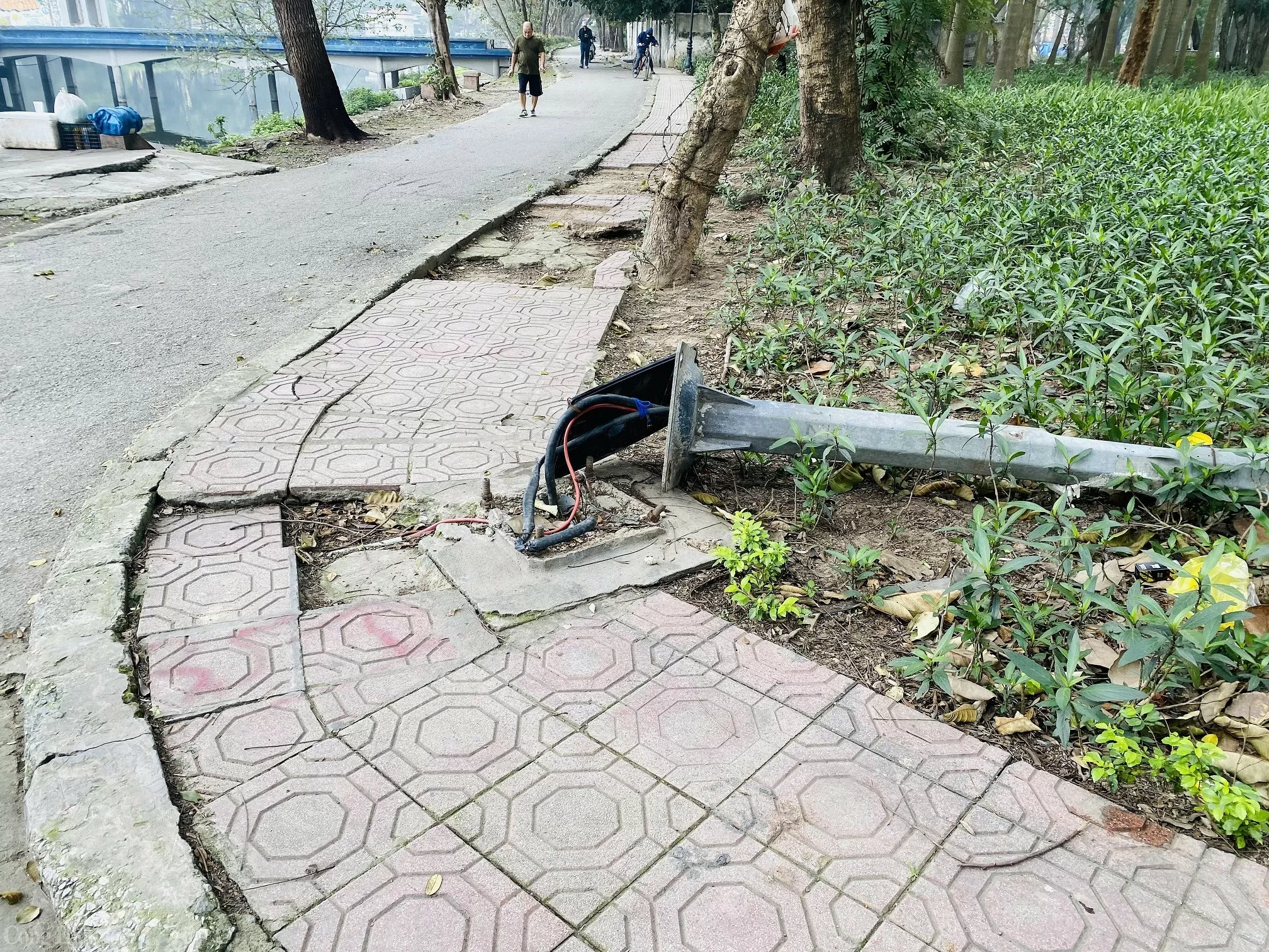 Liệu Công viên Tuổi trẻ Thủ đô có ‘lột xác’ sau khi Liệu Công viên Tuổi trẻ Thủ đô có ‘lột xác’ sau khi