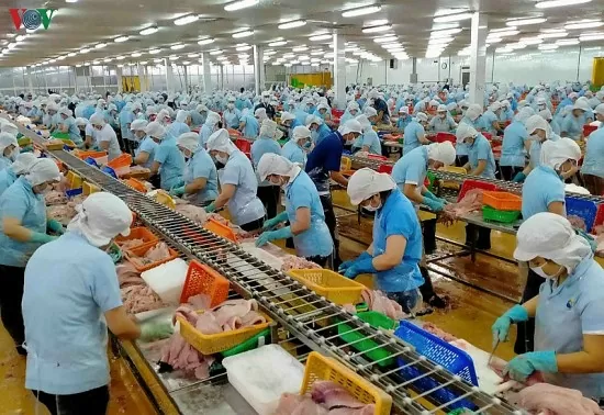 Thông tin mới về thủ tục cấp giấy chứng nhận thực phẩm xuất khẩu