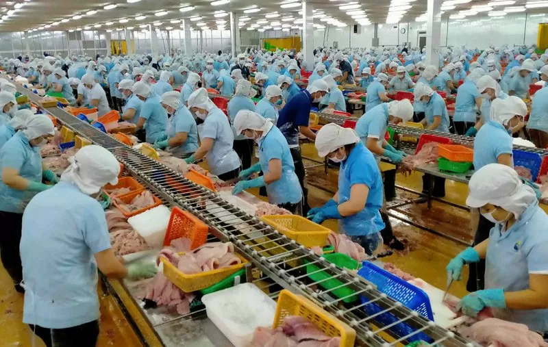 Thông tin mới về thủ tục cấp giấy chứng nhận thực phẩm xuất khẩu