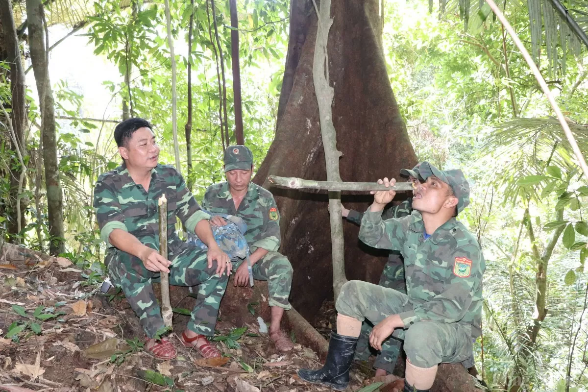 Bất kể gió mưa, nắng rát hay lễ Tết, các cán bộ bảo vệ rừng vẫn thường xuyên tuần tra, giám sát những cánh rừng già