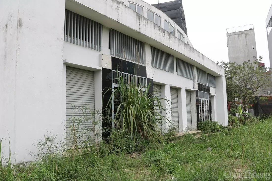 Xót xa chợ dân sinh tiền tỷ bỏ hoang giữa Hà Nội