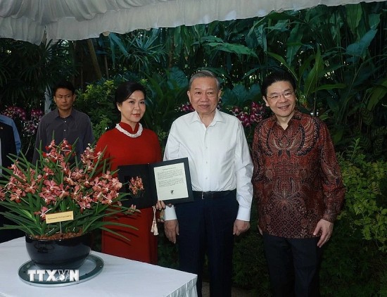 hoa phong lan papilionanda to lam linh ly bieu tuong moi cua tinh huu nghi viet nam va singapore