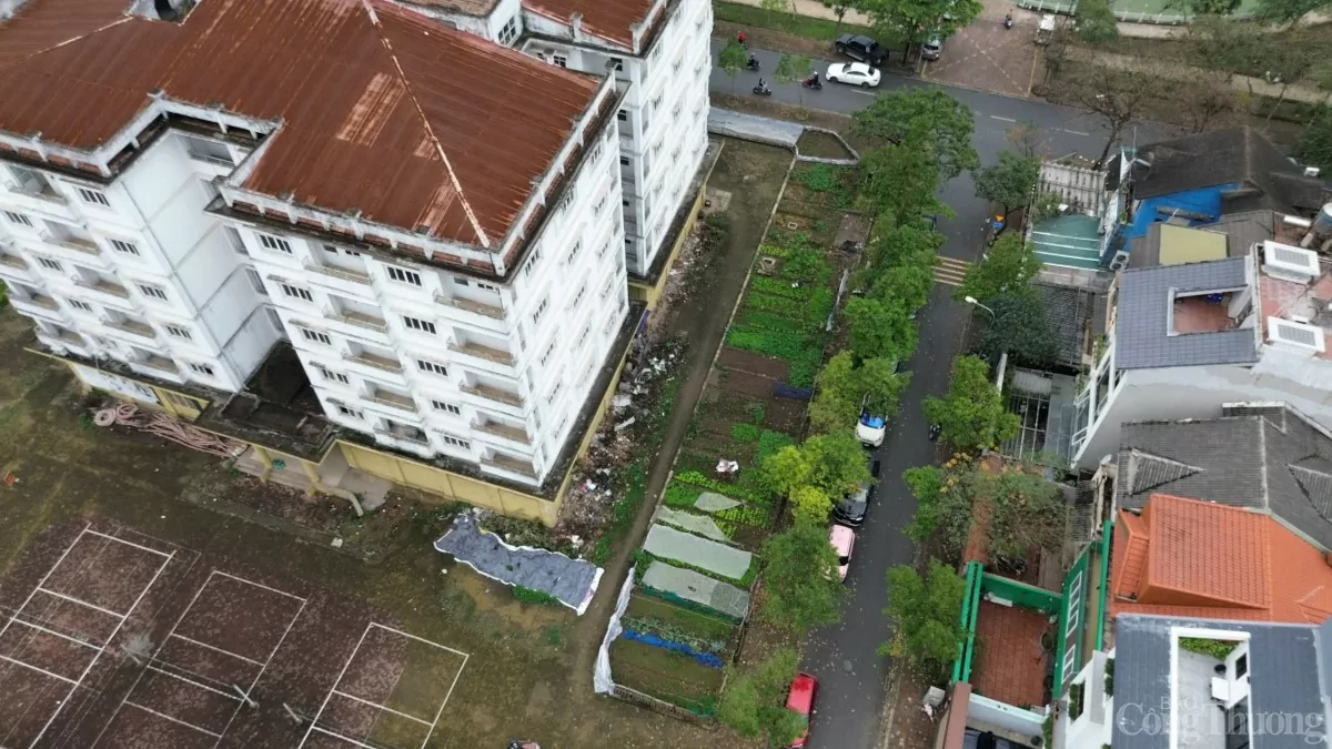 Hà Nội: Nhiều dự án tái định cư tại quận Long Biên bỏ hoang phí