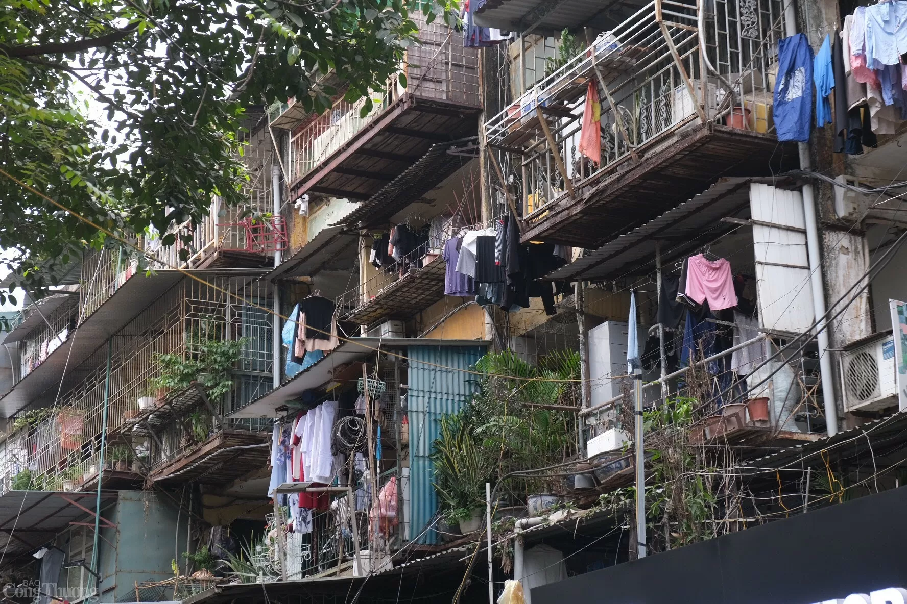 Theo phương án cải tạo, xây mới, khu chung cư cũ Thành Công sẽ được cho phép phát triển thành chung cư và nhà tái định cư với 40 tầng. 