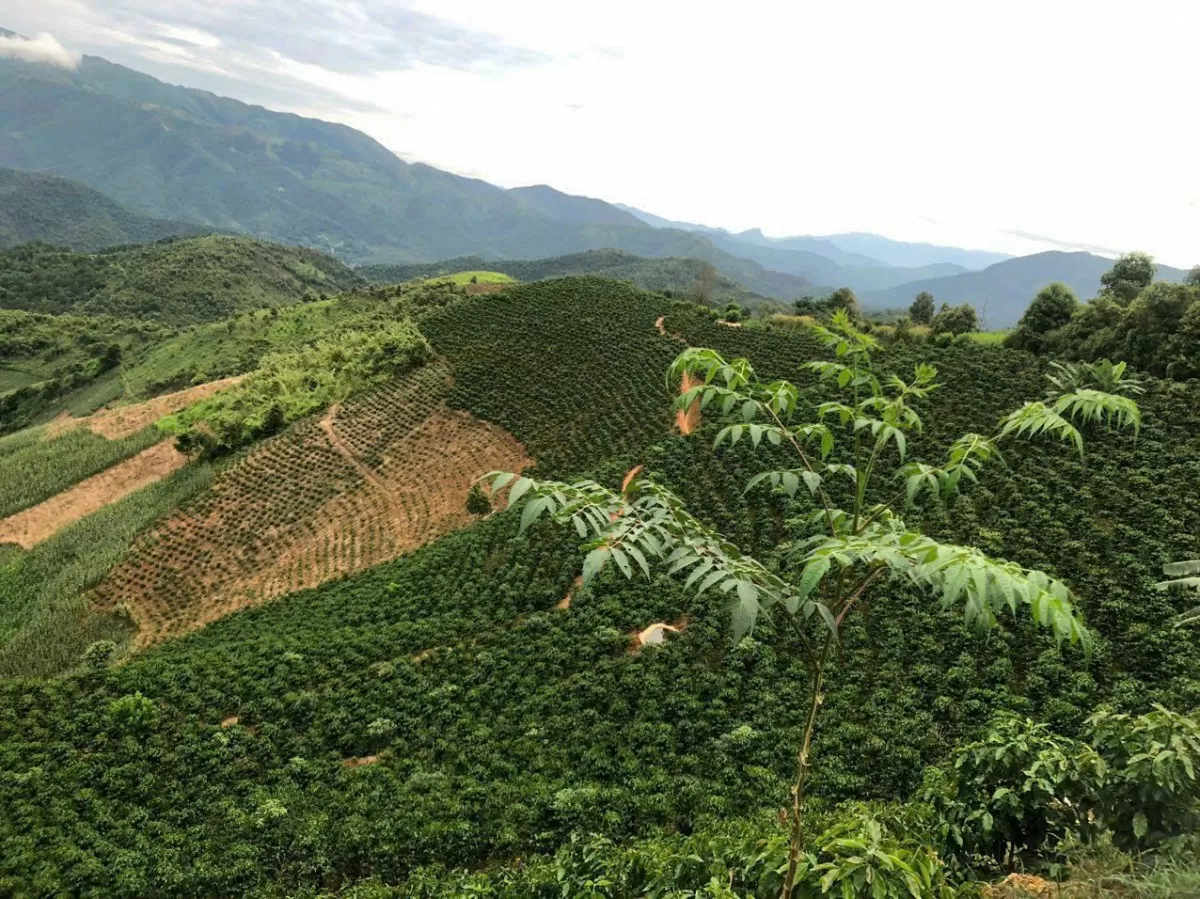 Gỡ đầu ra cho nông sản Điện Biên - Bài 1: