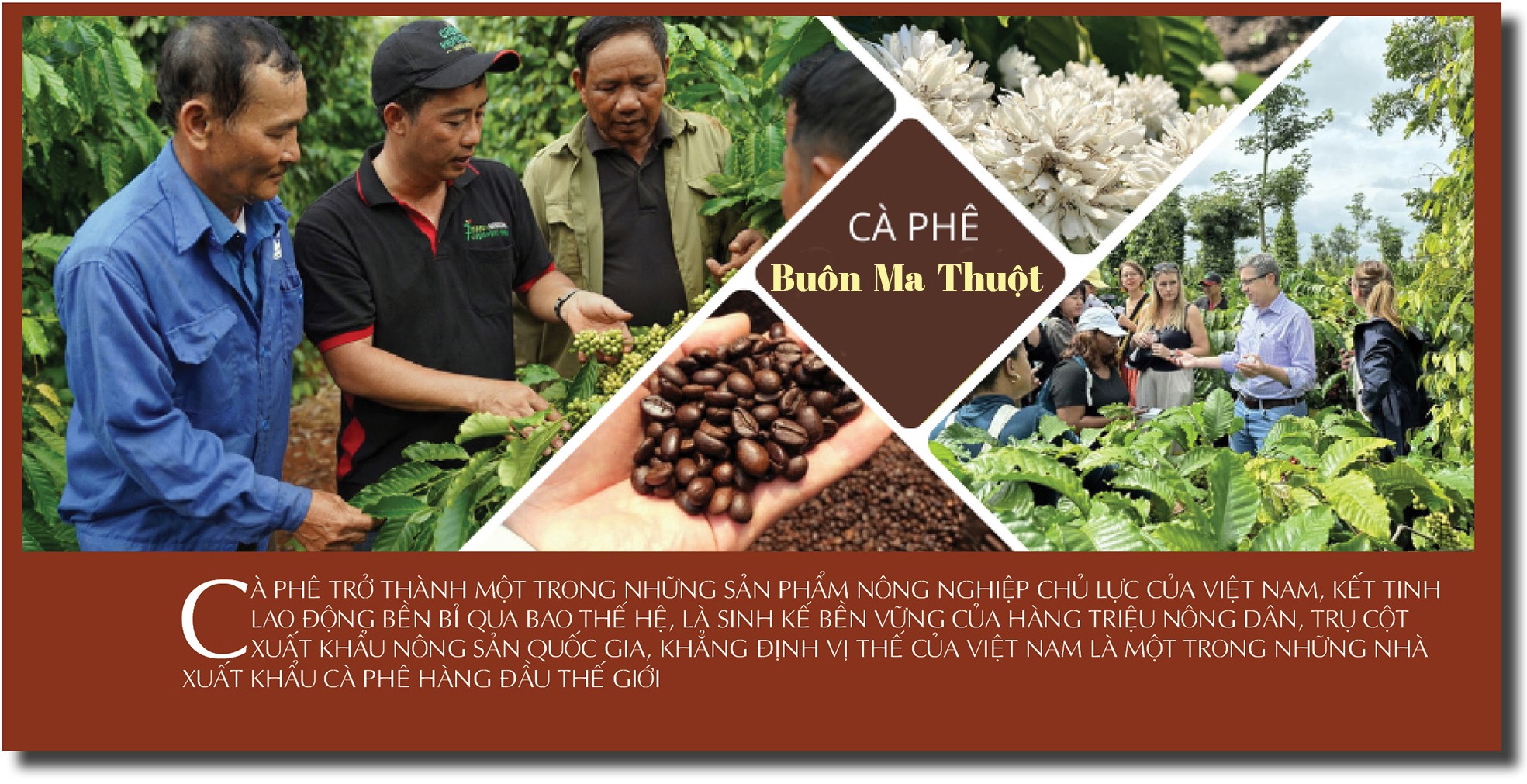 Nâng tầm thương hiệu cà phê Việt trên đất đỏ Tây Nguyên