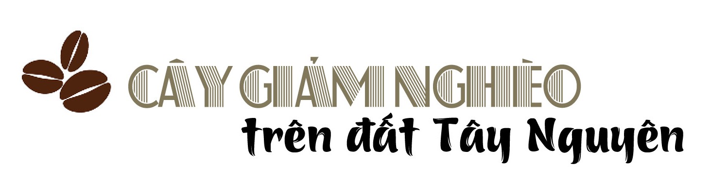 Nâng tầm thương hiệu cà phê Việt trên đất đỏ Tây Nguyên