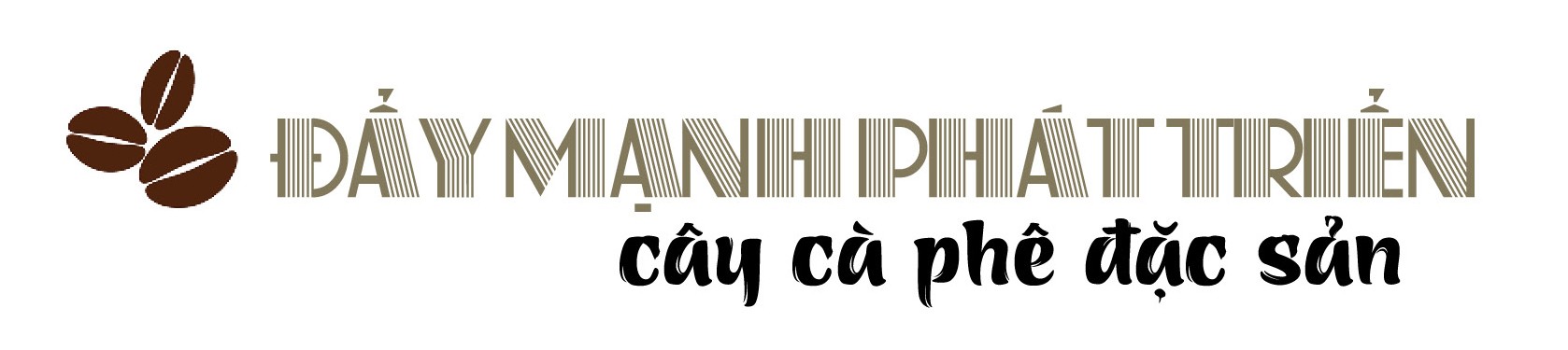 Nâng tầm thương hiệu cà phê Việt trên đất đỏ Tây Nguyên