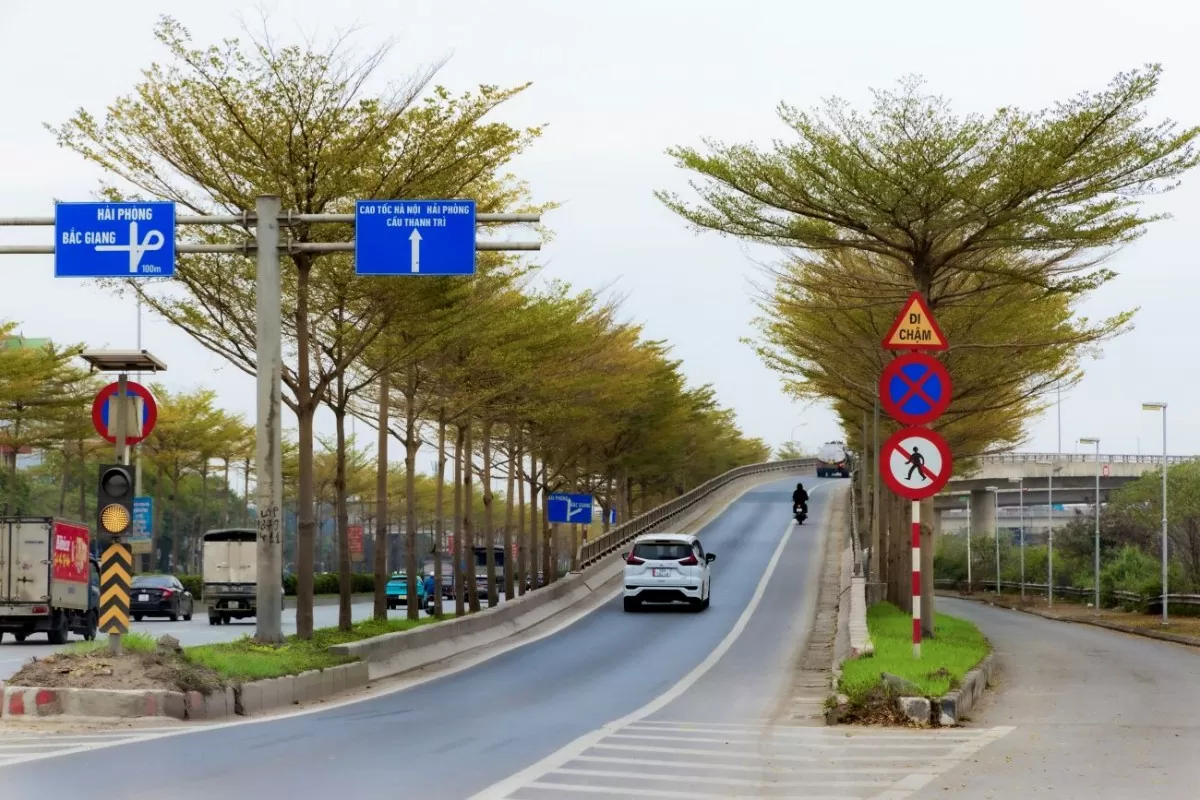 Hà Nội 'mặc áo vàng' mùa thay lá, đẹp như trời Âu