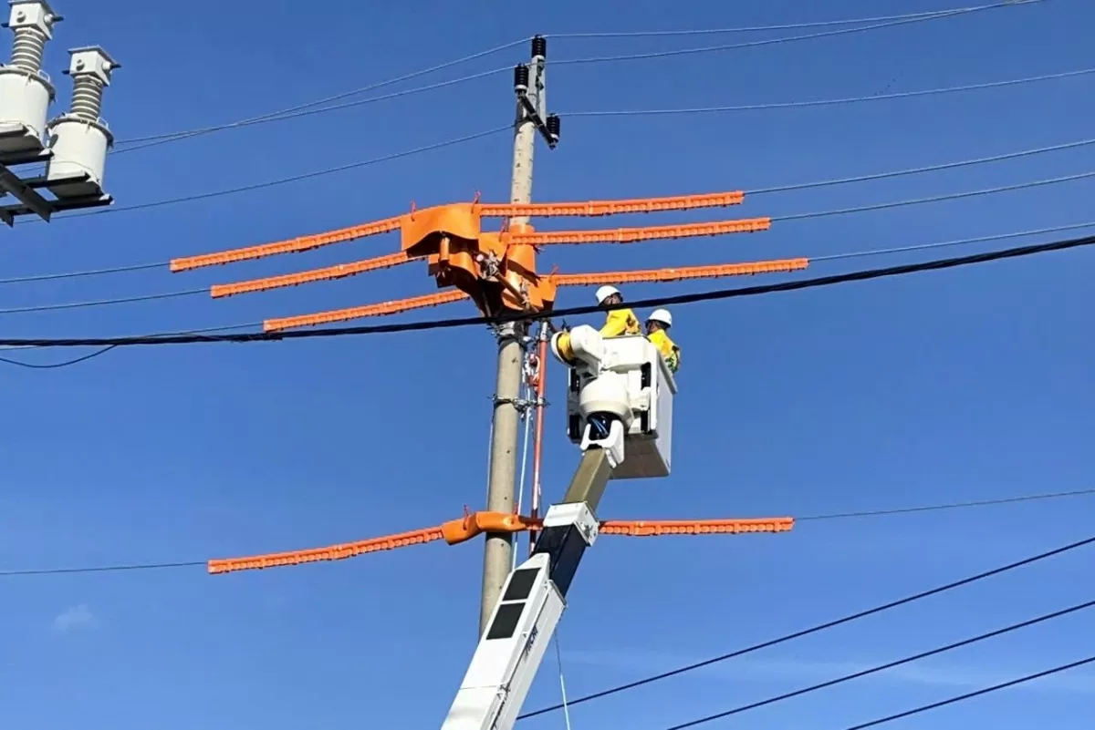Tổng Công ty Điện lực miền Trung (EVNCPC) tăng cường quản lý hành lang tuyến (Ảnh: EVNCPC)