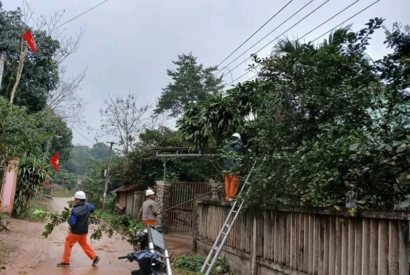 Công nhân Điện lực Tuyên Hóa, PC Quảng Bình phát quang hành lang lưới điện