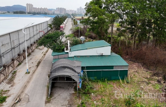 quang ninh vi sao nhieu ho dan bi bo roi o tp mong cai