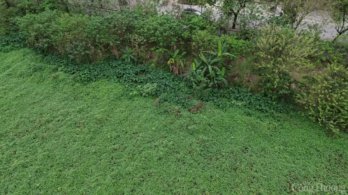Nhếch nhác dự án Công viên hồ điều hòa Nam Trung Yên