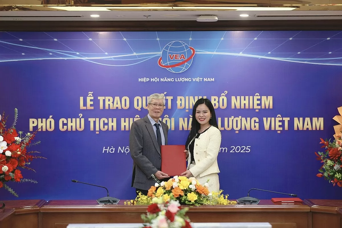 Lãnh đạo T&T Group làm PCT Hiệp hội năng lượng VN