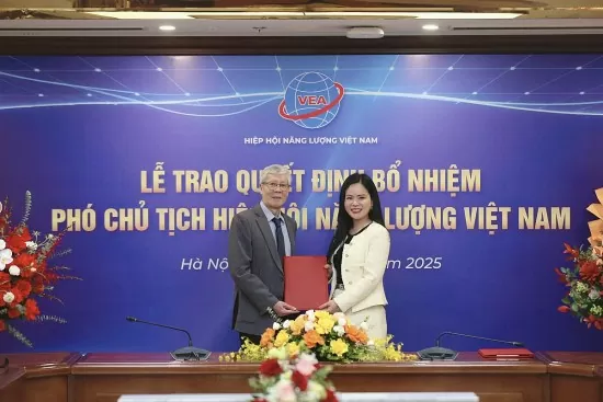 Lãnh đạo T&T Group làm PCT Hiệp hội năng lượng VN