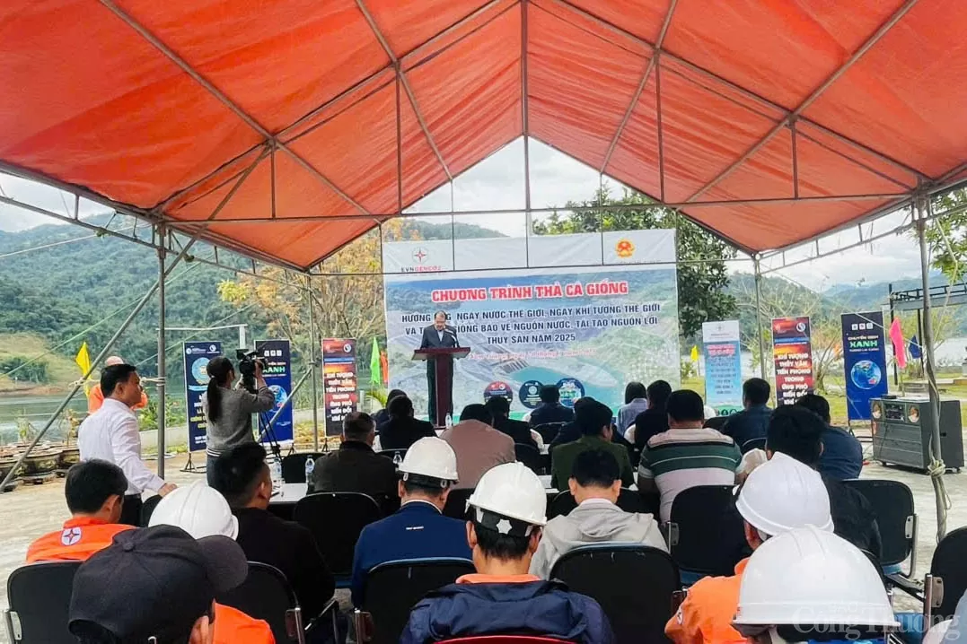 Chương trình thả cá giống xuống hồ thủy điện Sông Bung 2 là hoạt động thường niên do Công ty Thủy điện Sông Bung phối hợp với huyện Nam Giang tổ chức